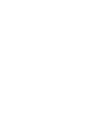Company-Surge-icon